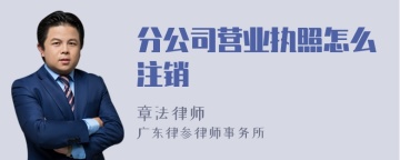 分公司营业执照怎么注销