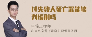 过失致人死亡罪能够判缓刑吗