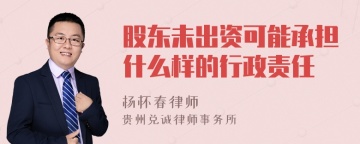 股东未出资可能承担什么样的行政责任