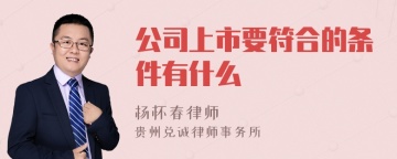 公司上市要符合的条件有什么