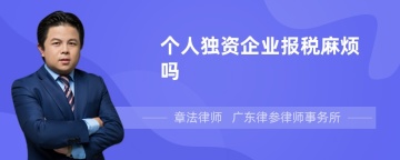 个人独资企业报税麻烦吗