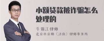 小额贷款被诈骗怎么处理的