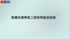 新疆交通事故二级伤残鉴定标准