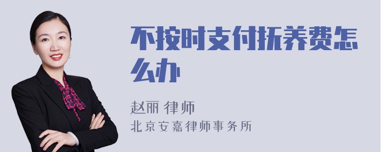 不按时支付抚养费怎么办