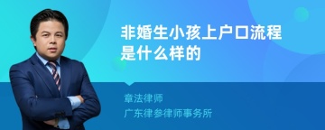 非婚生小孩上户口流程是什么样的