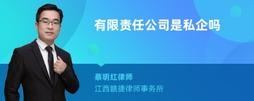 有限责任公司是私企吗