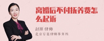 离婚后不付抚养费怎么起诉