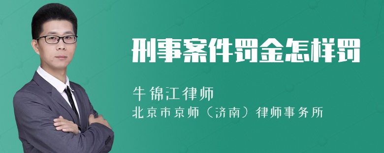 刑事案件罚金怎样罚