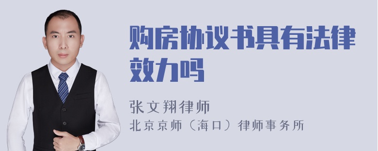 购房协议书具有法律效力吗