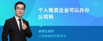 个人独资企业可以办分公司吗