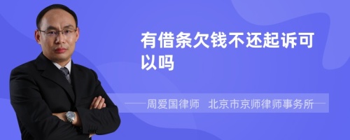 有借条欠钱不还起诉可以吗