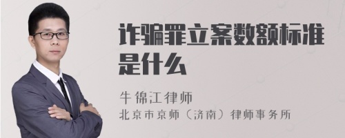 诈骗罪立案数额标准是什么