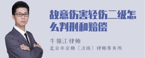 故意伤害轻伤二级怎么判刑和赔偿