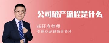 公司破产流程是什么