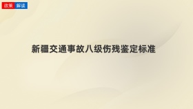 新疆交通事故八级伤残鉴定标准