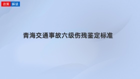 青海交通事故六级伤残鉴定标准