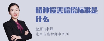 精神损害赔偿标准是什么