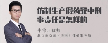 仿制生产假药罪中刑事责任是怎样的