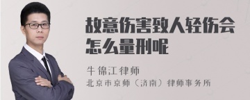 故意伤害致人轻伤会怎么量刑呢