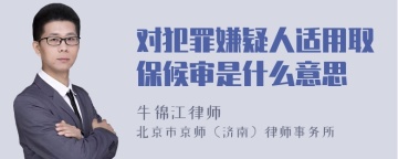 对犯罪嫌疑人适用取保候审是什么意思