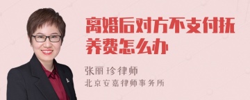 离婚后对方不支付抚养费怎么办