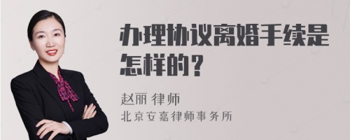 办理协议离婚手续是怎样的？