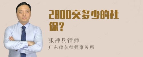 2800交多少的社保？