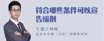 符合哪些条件可以宣告缓刑