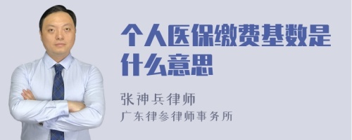 个人医保缴费基数是什么意思