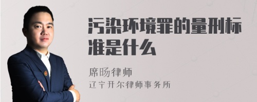 污染环境罪的量刑标准是什么