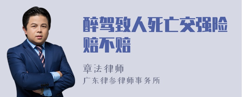 醉驾致人死亡交强险赔不赔