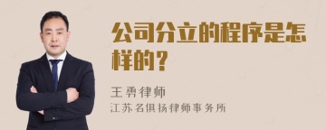 公司分立的程序是怎样的？