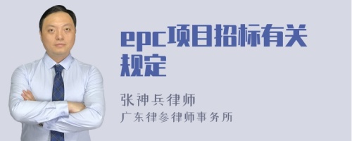 epc项目招标有关规定