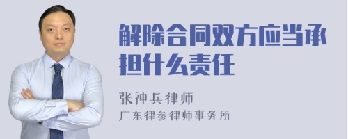 解除合同双方应当承担什么责任