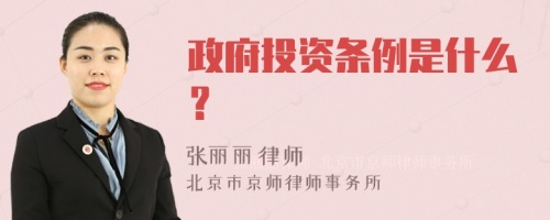 政府投资条例是什么？