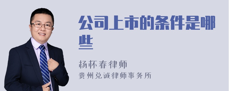 公司上市的条件是哪些