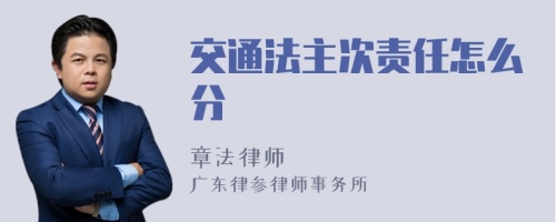 交通法主次责任怎么分