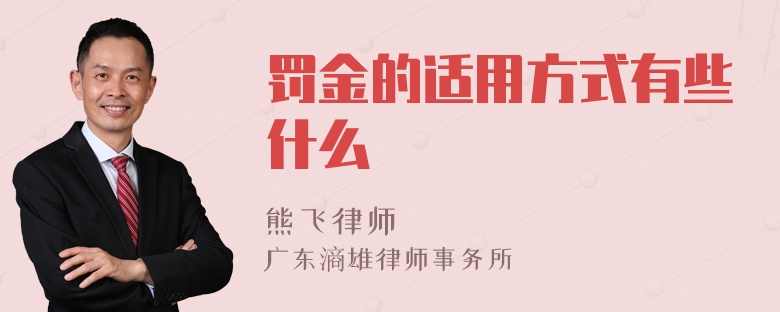 罚金的适用方式有些什么