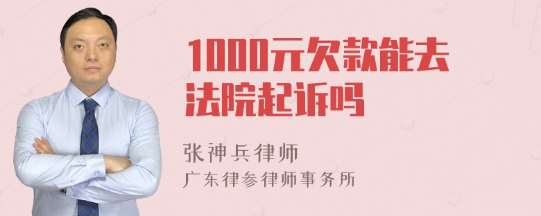 1000元欠款能去法院起诉吗