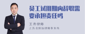 员工试用期内辞职需要承担责任吗