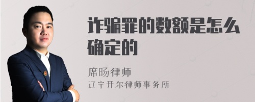 诈骗罪的数额是怎么确定的