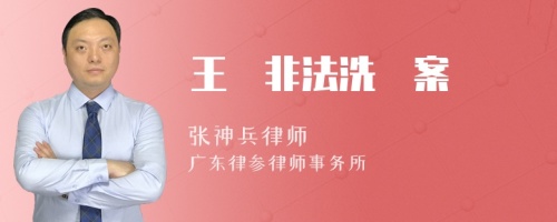 王麗非法洗錢案