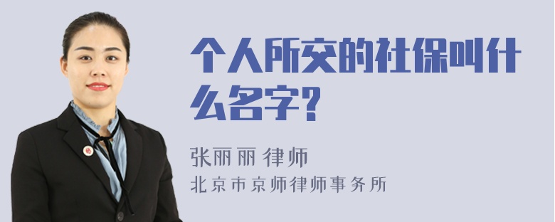 个人所交的社保叫什么名字?