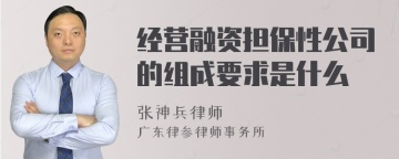 经营融资担保性公司的组成要求是什么