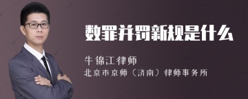 数罪并罚新规是什么