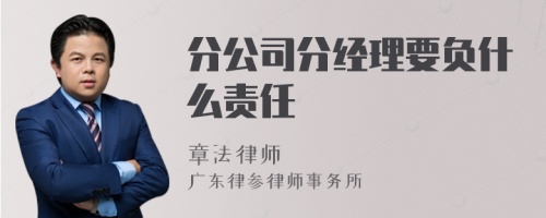 分公司分经理要负什么责任