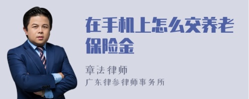 在手机上怎么交养老保险金