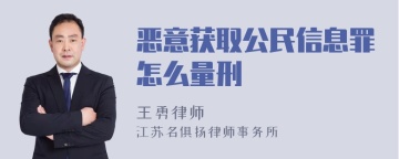 恶意获取公民信息罪怎么量刑