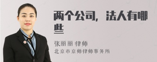 两个公司，法人有哪些