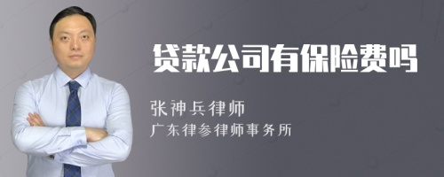 贷款公司有保险费吗